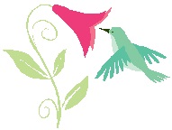 hummingbird