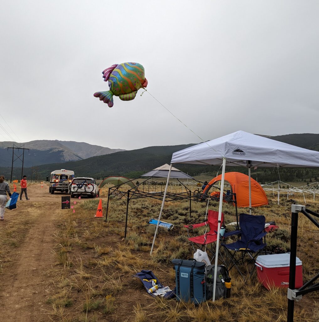 fish balloon flying in air with mountains in background